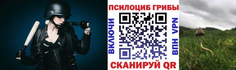 Галлюциногенные грибы Psilocybine cubensis Верещагино